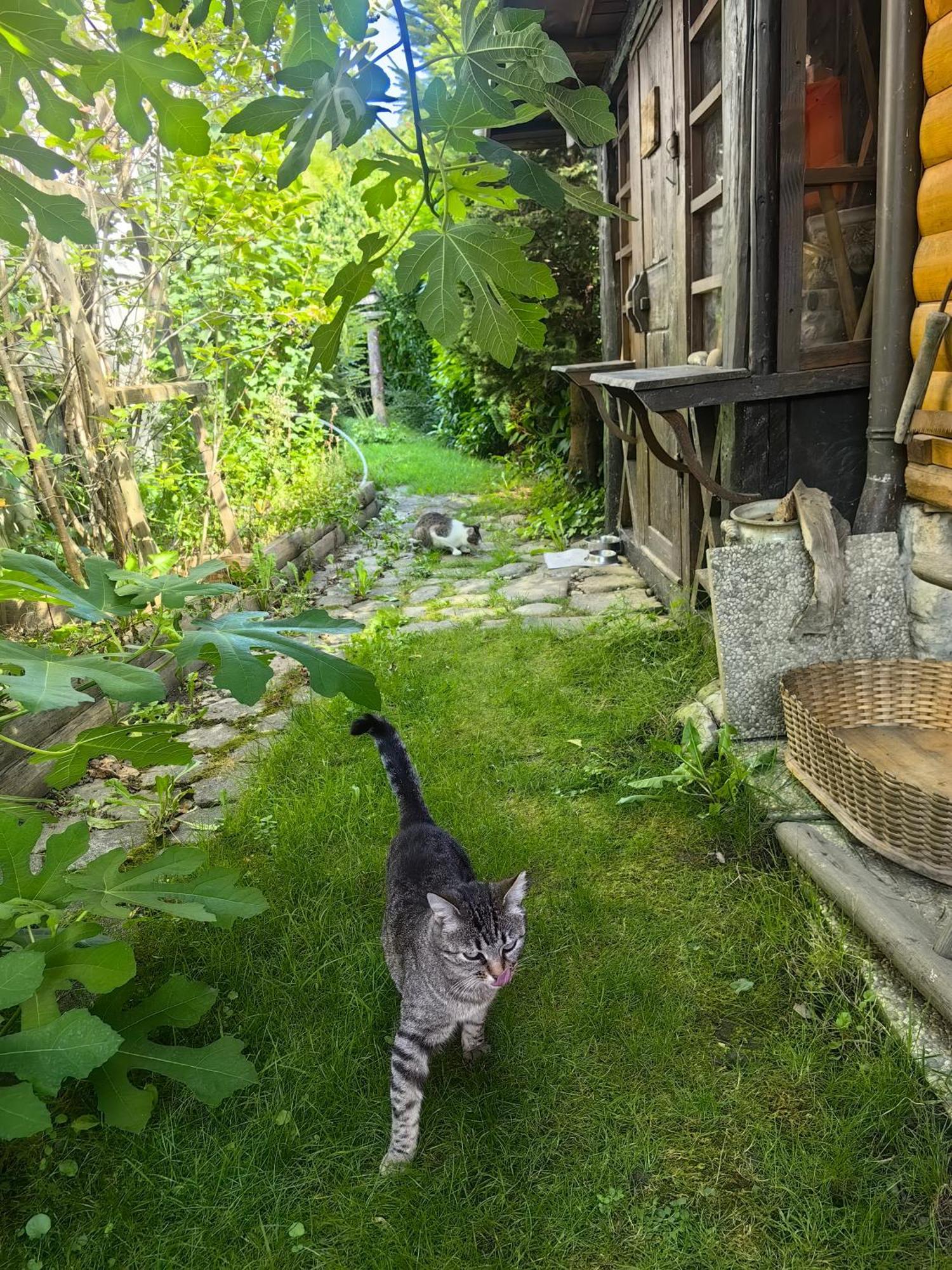 Hisa Hortenzija Luče Eksteriør billede